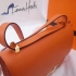 Hermes Bag 010